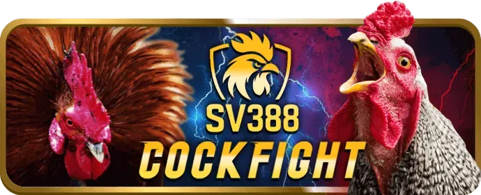 Mẹo chơi slot từ các chuyên gia 789bet99